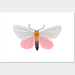 Tiger Moth Posters and Art